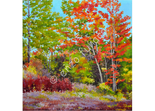  Feast of Colours - Oil on Canvas by Enzo 